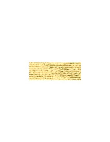 DMC - 3822 col. Camomille