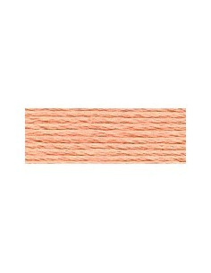 DMC - 3825 col. Mangue