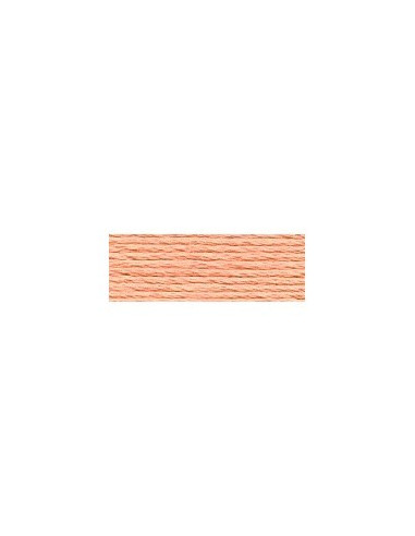 DMC - 3825 col. Mangue