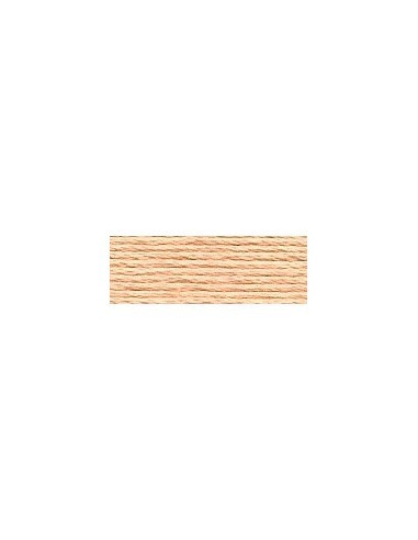 DMC - 3856 col. Chamois