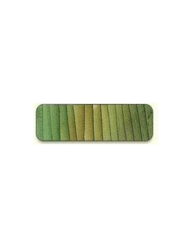 Di van Niekerk - Ruban de soie 2 mm - 17 - Slate Green & Bis