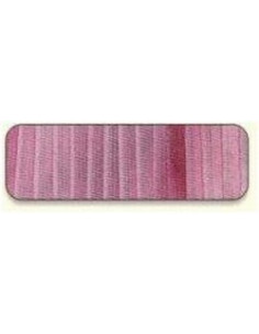 Di van Niekerk - Ruban de soie 2 mm - 41 - Mixed Berry