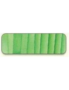 Di van Niekerk - Ruban de soie 2 mm - 97 - Grass Green