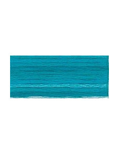 DMC Mouliné Color Variation - 4025