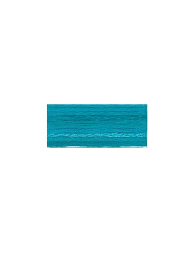DMC Mouliné Color Variation - 4025