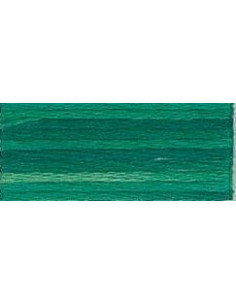 DMC Mouliné Color Variation - 4045