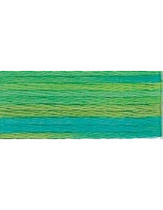 DMC Mouliné Color Variation - 4050