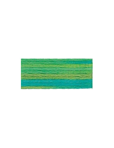 DMC Mouliné Color Variation - 4050