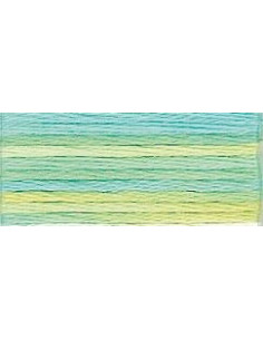 DMC Mouliné Color Variation - 4060