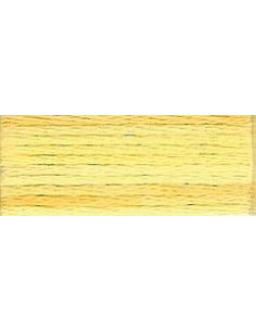 DMC Mouliné Color Variation - 4075