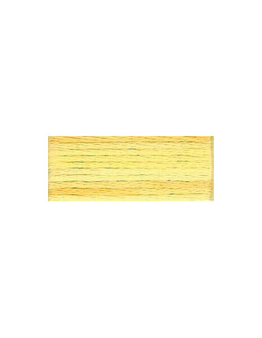 DMC Mouliné Color Variation - 4075