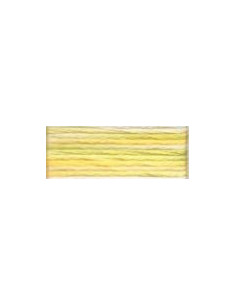 DMC Mouliné Color Variation - 4080