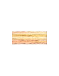 DMC Mouliné Color Variation - 4090