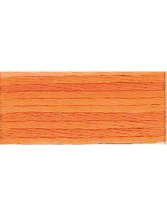 DMC Mouliné Color Variation - 4124