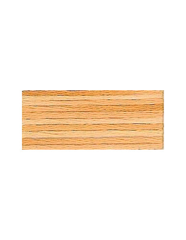DMC Mouliné Color Variation - 4128