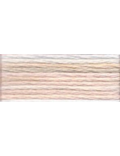 DMC Mouliné Color Variation - 4150