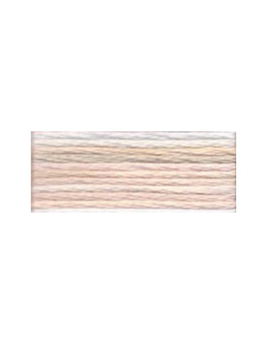 DMC Mouliné Color Variation - 4150