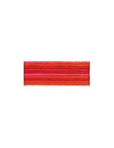 DMC Mouliné Color Variation - 4200