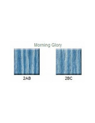 House of Embroidery - coton mouliné - Morning glory