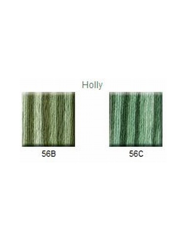 House of Embroidery - coton mouliné - Holly