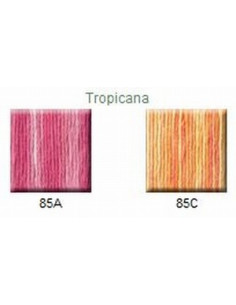 House of Embroidery - coton mouliné - Tropicana