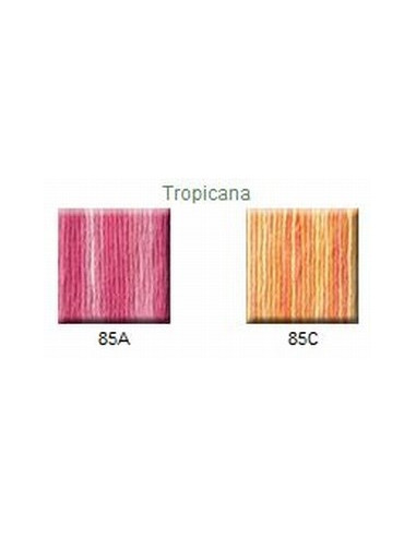 House of Embroidery - coton mouliné - Tropicana