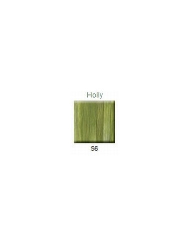 House of Embroidery - Ruban 2mm - Holly