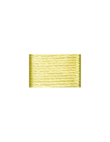 DMC Satin - S307