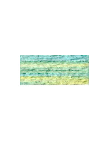 DMC perlé Color Variation - 4060