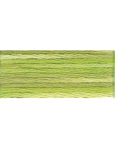 DMC perlé Color Variation - 4070