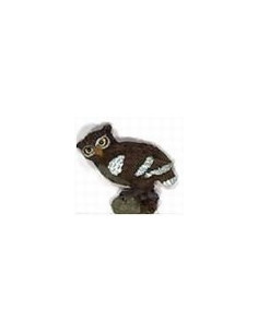 Bouton - Chouette