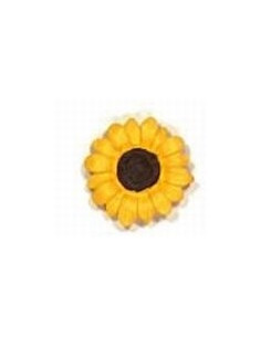 Tournesol