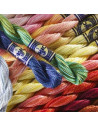 DMC - Coton perlé Color Variation